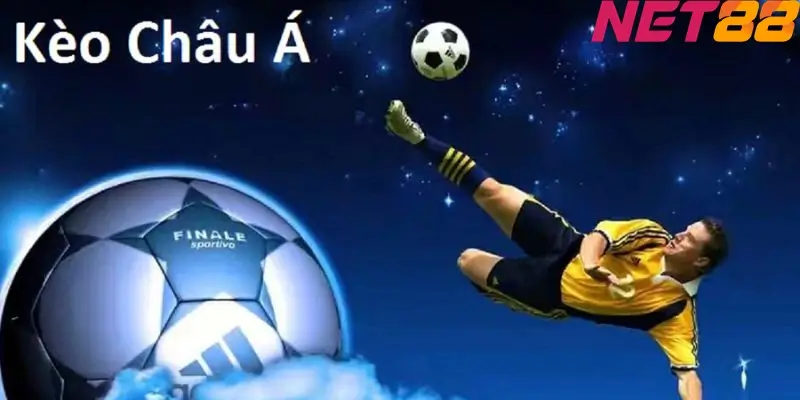 Cùng NET88 hướng dẫn cá cược bóng đá cho tân thủ đơn giản 2 Cách đọc kèo Châu Á - Hướng dẫn cá cược bóng đá