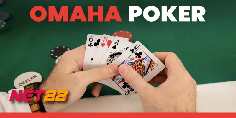Poker Omaha Net88 - Trải nghiệm game bài độc đáo 1 Poker Omaha Net88