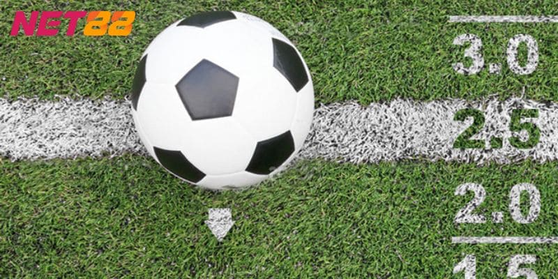 Cách đọc kèo tài xỉu dễ hiểu