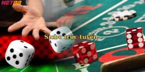 Giới thiệu về trò chơi sicbo trực tuyến
